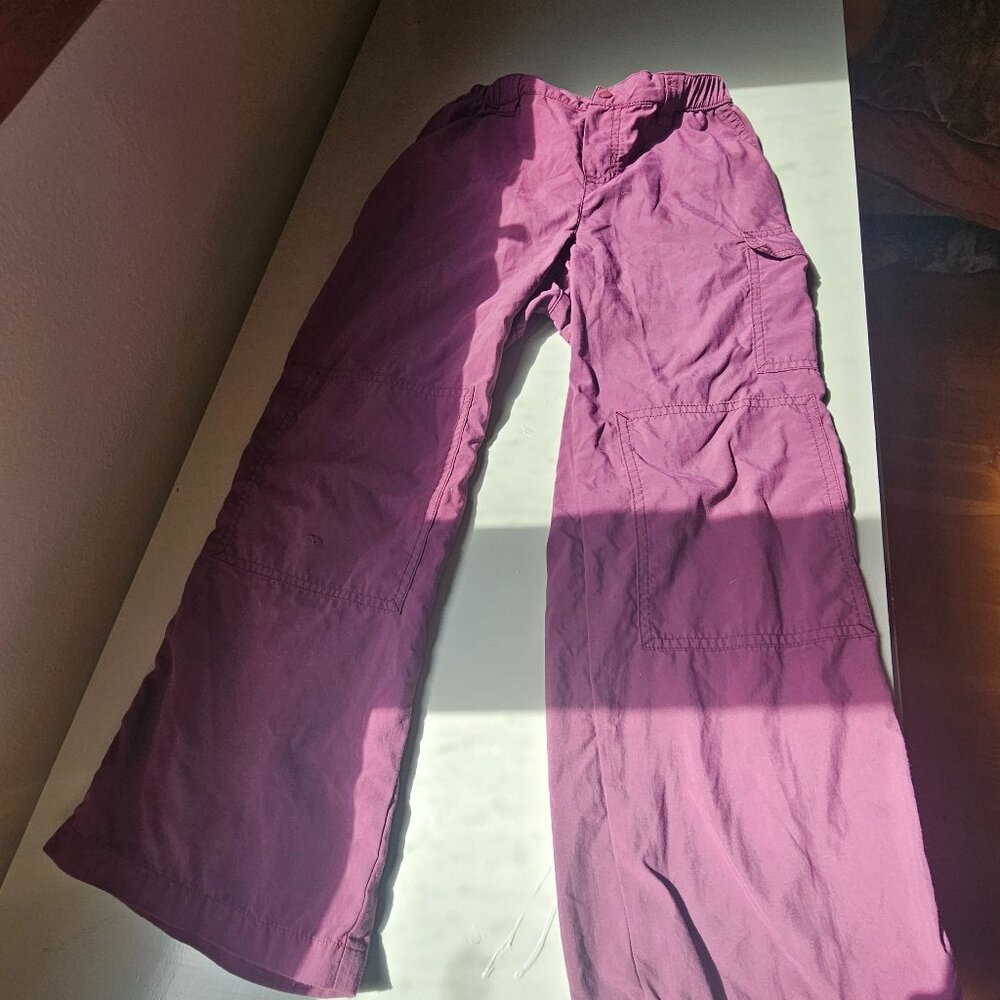 Patagonia Hiking Pants